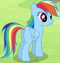 Size: 323x344 | Tagged: safe, imported from derpibooru, screencap, rainbow dash, pegasus, pony, rainbow falls, season 4, butt, cropped, female, mare, plot, rainbutt dash, solo