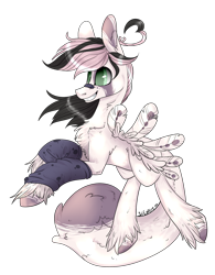 Size: 1506x1931 | Tagged: safe, artist:intfighter, imported from derpibooru, oc, oc only, pegasus, pony, grin, leg warmers, pegasus oc, simple background, smiling, solo, transparent background, unshorn fetlocks, wings