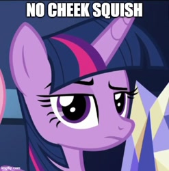 Size: 500x507 | Tagged: safe, edit, edited screencap, editor:twi clown, imported from derpibooru, screencap, twilight sparkle, alicorn, pony, flutter brutter, caption, cropped, female, image macro, looking at you, mare, raised eyebrow, solo, text, twilight sparkle (alicorn)