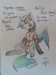 Size: 1620x2160 | Tagged: safe, artist:ellis_sunset, imported from derpibooru, oc, oc only, pegasus, pony, choker, cigarette, cyrillic, one wing out, pegasus oc, reference sheet, sitting, smoking, solo, tattoo, traditional art, wings