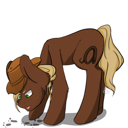 Size: 2000x2000 | Tagged: safe, artist:daniefox, imported from derpibooru, oc, oc only, oc:indiana hooves, earth pony, pony, male, simple background, solo, stallion, transparent background