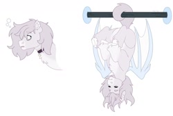 Size: 1280x854 | Tagged: safe, artist:itstechtock, imported from derpibooru, oc, oc only, oc:sleepyhead, bat pony, hybrid, pony, behaving like a bat, interspecies offspring, magical lesbian spawn, male, offspring, parent:pinkie pie, parent:princess skystar, parents:skypie, simple background, solo, stallion, white background