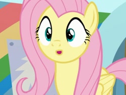 Size: 830x623 | Tagged: safe, imported from derpibooru, screencap, fluttershy, she's all yak, :o, open mouth