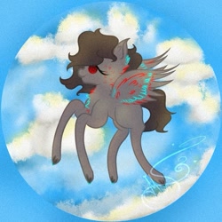 Size: 711x711 | Tagged: safe, artist:nel_liddell, imported from derpibooru, oc, oc only, pegasus, pony, chest fluff, cloud, flying, pegasus oc, signature, solo, wings