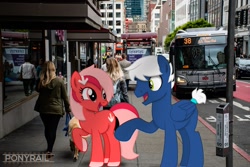 Size: 2048x1365 | Tagged: safe, artist:indonesiarailroadpht, artist:ponyrailartist, imported from derpibooru, oc, oc only, oc:downvote, oc:snowy knight, earth pony, pegasus, pony, derpibooru, building, bus, bus stop, derpibooru ponified, dowy, irl, meta, photo, ponies in real life, ponified, san francisco, show accurate, sidewalk, watermark