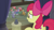 Size: 1280x720 | Tagged: safe, imported from derpibooru, screencap, apple bloom, igneous rock pie, limestone pie, marble pie, maud pie, earth pony, pony, hearthbreakers, female, filly, foal, male, mare, stallion