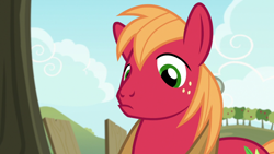 Size: 1920x1080 | Tagged: safe, imported from derpibooru, screencap, big macintosh, pony, the big mac question, male, solo