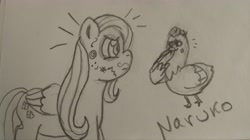 Size: 4000x2244 | Tagged: safe, artist:wrath-marionphauna, derpibooru exclusive, imported from derpibooru, fluttershy, bird, chicken, face doodle, laughing, pencil drawing, requested art, stare, the stare, traditional art, wing hands, wings