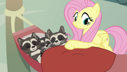 Size: 1920x1080 | Tagged: safe, imported from derpibooru, screencap, fluttershy, smoky, smoky jr., softpad, raccoon, the big mac question, eyes closed, hammock, sleeping