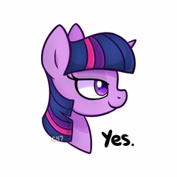 Size: 4000x4000 | Tagged: safe, artist:handgunboi, imported from derpibooru, twilight sparkle, pony, bust, chad, chadlight sparkle, female, lidded eyes, mare, meme, nordic gamer, ponified meme, simple background, smiling, solo, watermark, white background, yes