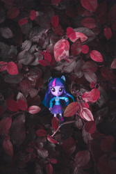 Size: 4000x6000 | Tagged: safe, artist:plastikdarling, imported from derpibooru, twilight sparkle, human, equestria girls, doll, female, humanized, leaves, photo, solo, toy