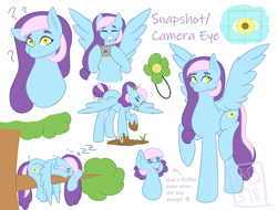 Size: 2900x2200 | Tagged: safe, artist:buttercupbella5182, imported from derpibooru, oc, oc only, pegasus, pony, bust, camera, eyes closed, grin, onomatopoeia, pegasus oc, raised hoof, reference sheet, sleeping, smiling, solo, sound effects, wings, zzz