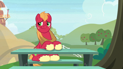 Size: 1920x1080 | Tagged: safe, imported from derpibooru, screencap, big macintosh, pony, the big mac question, male, solo