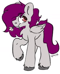 Size: 1139x1412 | Tagged: safe, artist:itsspoopsb, artist:spoopygander, imported from derpibooru, oc, oc only, oc:dr.heart, clydesdale, pegasus, pony, chest fluff, digital, flower, hoof fluff, simple background, solo, white background