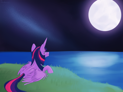 Size: 2000x1500 | Tagged: safe, artist:citrus-flamingo, imported from derpibooru, twilight sparkle, alicorn, pony, female, full moon, grass, looking up, lying down, moon, night, ocean, prone, smiling, solo, stars, twilight sparkle (alicorn)