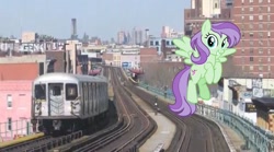 Size: 2048x1142 | Tagged: safe, artist:cheezedoodle96, artist:topsangtheman, edit, imported from derpibooru, violet twirl, pegasus, pony, friendship student, irl, looking at you, new york city, new york city subway, photo, ponies in real life, solo