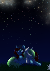 Size: 726x1032 | Tagged: safe, artist:naaltive, imported from derpibooru, oc, oc:starry gaze, oc:trivial pursuit, earth pony, pony, unicorn, blanket, commission, couple, gay, grass, male, night, stargazing, stars