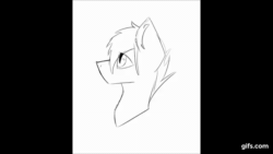 Size: 640x360 | Tagged: safe, artist:toptian, imported from derpibooru, oc, oc only, earth pony, pony, animated, blinking, bust, earth pony oc, gif, lineart, monochrome, solo