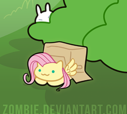 Size: 478x429 | Tagged: safe, artist:zombie, imported from derpibooru, fluttershy, cat, cat pony, original species, pegasus, pony, :3, behaving like a cat, box, cropped, cute, pony in a box, shyabetes