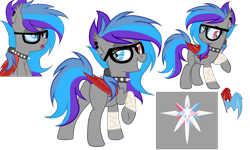 Size: 2500x1500 | Tagged: safe, artist:mailu2, imported from derpibooru, oc, oc only, oc:vesperia dawn, pegasus, pony, female, glasses, heterochromia, mare, reference sheet, simple background, solo, transparent background