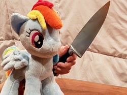 Size: 882x661 | Tagged: safe, imported from derpibooru, rainbow dash, pegasus, pony, delet this, hand, irl, knife, photo, plushie, solo