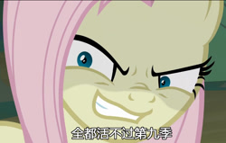 Size: 774x493 | Tagged: safe, edit, edited screencap, editor:wangkingfun, imported from derpibooru, screencap, fluttershy, pony, the mean 6, china, chinese, female, kanji