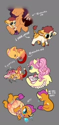 Size: 1024x2156 | Tagged: safe, artist:loryska, imported from derpibooru, fluttershy, saffron masala, smolder, oc, oc:clarabelle, oc:larkspur, dragon, hybrid, pony, zony, baby, baby draconequus, baby dragon, baby smolder, cute, egg, hatching, hatchling, headcanon, interspecies offspring, offspring, parent:discord, parent:fluttershy, parents:discoshy, smolderbetes