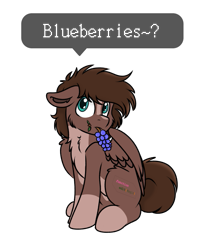 Size: 695x812 | Tagged: safe, artist:rokosmith26, imported from derpibooru, oc, oc only, pegasus, pony, blue eyes, blueberry, brown mane, cheek fluff, chest fluff, chibi, cute, floppy ears, food, leaf, looking up, male, markings, short hair, short mane, simple background, sitting, solo, spread wings, stallion, tail, text, transparent background, wings