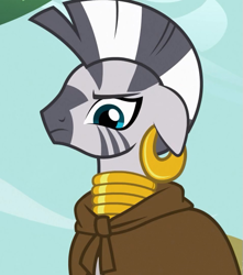 Size: 477x540 | Tagged: safe, screencap, zecora, zebra, just for sidekicks, cloak, clothes, frown, solo