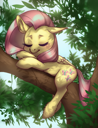 Size: 2290x2980 | Tagged: safe, artist:taytinabelle, imported from derpibooru, fluttershy, pegasus, pony, crossed hooves, cute, ear fluff, eyes closed, female, floppy ears, leaves, mare, shading, shadow, shyabetes, sleeping, solo, tree, tree branch, unshorn fetlocks