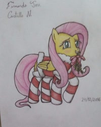 Size: 720x900 | Tagged: safe, artist:fernandojc-draftsman, imported from derpibooru, pegasus, pony, clothes, female, holly, mare, mouth hold, signature, socks, solo, striped socks, traditional art