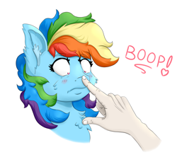 Size: 2076x1904 | Tagged: safe, artist:nedemai, imported from derpibooru, rainbow dash, human, pegasus, pony, blushing, boop, chest fluff, ear fluff, female, simple background, solo, this will end in pain and/or death, white background