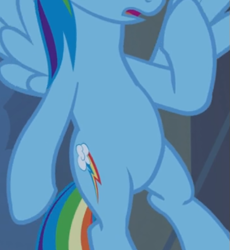 Size: 461x501 | Tagged: safe, imported from derpibooru, screencap, rainbow dash, pegasus, pony, castle mane-ia, belly, cropped, female, flying, open mouth, pictures of bellies, solo