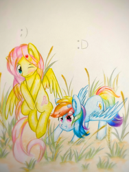 Size: 1920x2560 | Tagged: safe, artist:stardust0130, imported from derpibooru, fluttershy, rainbow dash, pegasus, pony, :d, blushing, colored pencil drawing, crossed hooves, duo, ear fluff, female, flying, grass, hair accessory, high res, mare, one eye closed, outdoors, pictogram, shy, smiling, spread wings, standing, traditional art, wings, wink