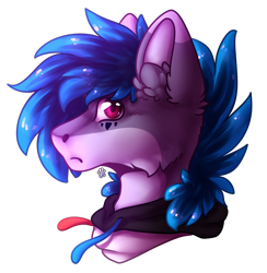 Size: 1950x2000 | Tagged: safe, artist:leawarriors, imported from derpibooru, oc, oc only, oc:wind rider, pony, portrait, simple background, solo, transparent background