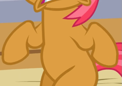 Size: 581x409 | Tagged: safe, imported from derpibooru, screencap, babs seed, earth pony, pony, apple family reunion, belly, cropped, female, pictures of bellies, sitting, solo