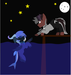 Size: 4326x4559 | Tagged: safe, artist:samsailz, imported from derpibooru, oc, oc only, oc:illustratum, earth pony, original species, pony, shark, shark pony, dock, duo, horn, lending a hoof, lineless, moon, night, pier, stars, swimming, water