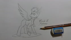 Size: 4096x2304 | Tagged: safe, artist:fernandojc-draftsman, imported from derpibooru, oc, oc only, pegasus, pony, clothes, glasses, lineart, looking back, male, monochrome, pegasus oc, scarf, signature, solo, stallion, traditional art, wings