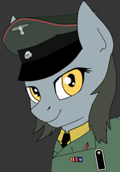 Size: 657x937 | Tagged: safe, artist:dr nick taco, oc, oc only, oc:aufie, clothes, gray background, hat, nazi, nazi uniform, schutzstaffel, simple background, uniform, yellow eyes