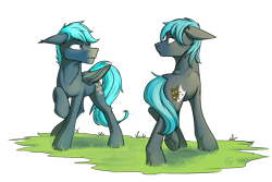 Size: 1024x683 | Tagged: safe, artist:klarapl, imported from derpibooru, oc, oc only, oc:guttatus, oc:tone shift, bat pony, earth pony, pegasus, pony, bat pony oc, bat wings, duo, earth pony oc, simple background, transparent background, wings