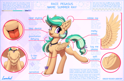 Size: 4304x2808 | Tagged: safe, artist:lunebat, imported from derpibooru, oc, oc only, oc:summer ray, pegasus, pony, :p, chest fluff, diagram, ear fluff, female, frog (hoof), jewelry, mare, necklace, one leg raised, solo, tongue out, underhoof, wings