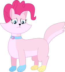 Size: 2237x2470 | Tagged: safe, artist:dupontsimon, imported from derpibooru, pinkie pie, cat, fanfic:magic show of friendship, catified, collar, cutie mark collar, fanfic art, pinkie cat, simple background, solo, species swap, transformation, transparent background, vector