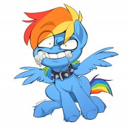 Size: 2048x2048 | Tagged: safe, artist:zazush-una, imported from derpibooru, rainbow dash, pegasus, pony, behaving like a dog, collar, female, foaming at the mouth, rabid, simple background, solo, white background