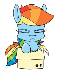 Size: 921x1100 | Tagged: safe, artist:dacaoo, imported from derpibooru, rainbow dash, pony, box, cheek fluff, chest fluff, female, pony in a box, simple background, solo, white background