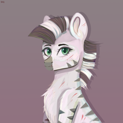 Size: 2000x2000 | Tagged: safe, artist:ske, imported from derpibooru, oc, oc only, oc:xenith, pony, zebra, fallout equestria, gradient background, scar, solo