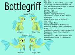 Size: 7458x5477 | Tagged: safe, artist:ethanjacobsyrosca, imported from derpibooru, oc, oc only, oc:bottlegriff, classical hippogriff, hippogriff, seapony (g4), absurd resolution, crystal, green background, hippogriff oc, male, recolor, reference sheet, simple background, smiling, solo, twitterponies, vector