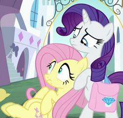 Size: 658x630 | Tagged: safe, imported from derpibooru, screencap, fluttershy, rarity, the ending of the end, bag, cropped, saddle bag