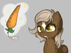 Size: 4000x3000 | Tagged: artist needed, safe, earth pony, pony, carrot, drool, female, food, price tag, simple background, solo, verity