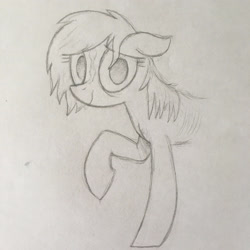 Size: 3024x3024 | Tagged: artist needed, safe, earth pony, pony, art pack:marenheit 451 post-pack, emaciated, female, looking at you, smiling, solo, traditional art, verity