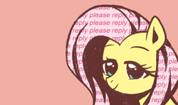 Size: 1000x590 | Tagged: safe, artist:anonymous, fluttershy, pegasus, pony, 4chan, drawthread, lidded eyes, simple background, smiling, solo, text